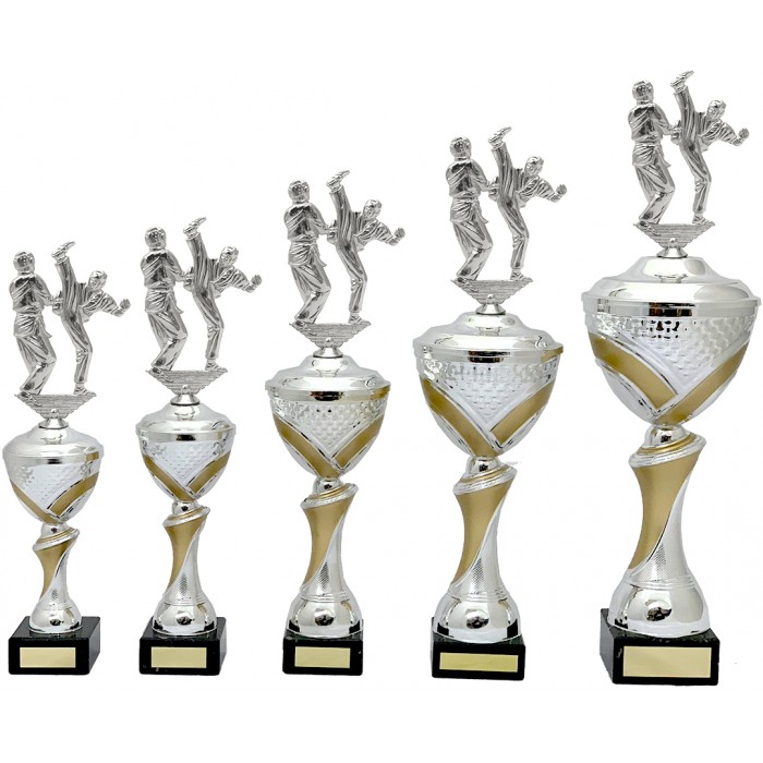 MARTIAL ARTS METAL TROPHY  - AVAILABLE IN 5 SIZES